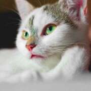 柚子 ありがとうございました💝 東京人妻フォーシーズンズ