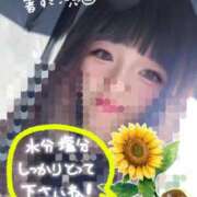 ヒメ日記 2025/08/06 10:54 投稿 りっか 東京リップ 池袋店