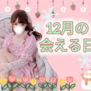 ヒメ日記 2025/11/25 23:53 投稿 りっか 東京リップ 池袋店