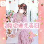 ヒメ日記 2026/03/05 12:00 投稿 りっか 東京リップ 池袋店