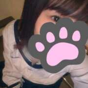 ヒメ日記 2026/03/03 13:41 投稿 あかり ちらりずむ 札幌校