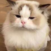 ヒメ日記 2025/04/13 22:21 投稿 みか ちらりずむ 札幌校