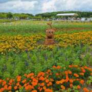 ヒメ日記 2024/08/09 11:48 投稿 堀江里穂 五十路マダム 浜松店(カサブランカグループ)