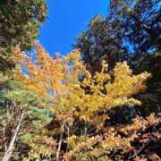 ヒメ日記 2024/12/12 08:08 投稿 堀江里穂 五十路マダム 浜松店(カサブランカグループ)