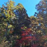 ヒメ日記 2024/12/19 07:08 投稿 堀江里穂 五十路マダム 浜松店(カサブランカグループ)