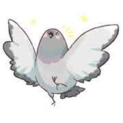 ヒメ日記 2025/03/01 11:24 投稿 堀江里穂 五十路マダム 浜松店(カサブランカグループ)