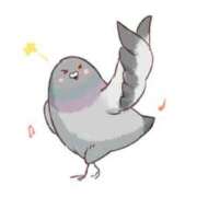 ヒメ日記 2025/03/17 13:02 投稿 堀江里穂 五十路マダム 浜松店(カサブランカグループ)