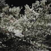 ヒメ日記 2025/03/17 22:46 投稿 堀江里穂 五十路マダム 浜松店(カサブランカグループ)