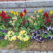 ヒメ日記 2025/04/09 07:12 投稿 堀江里穂 五十路マダム 浜松店(カサブランカグループ)