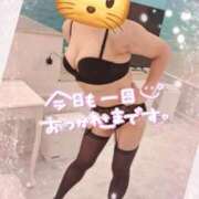 ヒメ日記 2025/05/01 18:08 投稿 堀江里穂 五十路マダム 浜松店(カサブランカグループ)