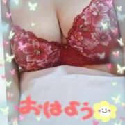 ヒメ日記 2025/07/17 07:16 投稿 堀江里穂 五十路マダム 浜松店(カサブランカグループ)