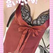 ヒメ日記 2025/08/11 10:16 投稿 堀江里穂 五十路マダム 浜松店(カサブランカグループ)