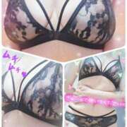 ヒメ日記 2025/09/06 09:04 投稿 堀江里穂 五十路マダム 浜松店(カサブランカグループ)