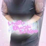 ヒメ日記 2026/01/30 07:26 投稿 堀江里穂 五十路マダム 浜松店(カサブランカグループ)