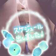 ヒメ日記 2026/02/23 17:02 投稿 堀江里穂 五十路マダム 浜松店(カサブランカグループ)