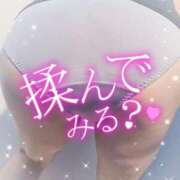 ヒメ日記 2026/03/28 12:16 投稿 堀江里穂 五十路マダム 浜松店(カサブランカグループ)