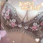 ヒメ日記 2026/03/29 11:06 投稿 堀江里穂 五十路マダム 浜松店(カサブランカグループ)