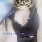 ヒメ日記 2025/07/23 16:37 投稿 浅野(あさの) 人妻最後の砦 水戸店