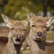 ヒメ日記 2025/09/07 09:52 投稿 なお モアグループ熊谷人妻花壇