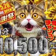 ヒメ日記 2025/05/25 18:13 投稿 ゆき 奴隷コレクション