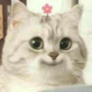 ヒメ日記 2025/09/10 00:04 投稿 ゆき 奴隷コレクション