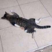 ヒメ日記 2025/10/25 22:55 投稿 ゆき 奴隷コレクション