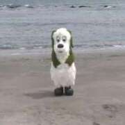 ヒメ日記 2025/11/07 18:34 投稿 ゆき 奴隷コレクション