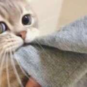 ヒメ日記 2025/11/11 20:35 投稿 ゆき 奴隷コレクション