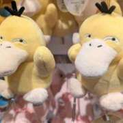 ヒメ日記 2025/11/19 18:57 投稿 ゆき 奴隷コレクション