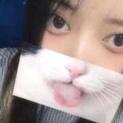 ヒメ日記 2025/12/06 17:46 投稿 ゆき 奴隷コレクション