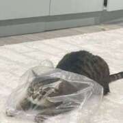 ヒメ日記 2025/12/08 18:35 投稿 ゆき 奴隷コレクション