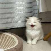 ヒメ日記 2025/12/13 17:37 投稿 ゆき 奴隷コレクション