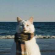 ヒメ日記 2025/12/15 00:09 投稿 ゆき 奴隷コレクション