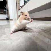 ヒメ日記 2025/12/16 19:45 投稿 ゆき 奴隷コレクション