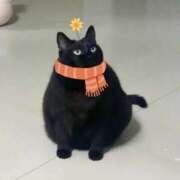 ヒメ日記 2025/12/18 19:10 投稿 ゆき 奴隷コレクション