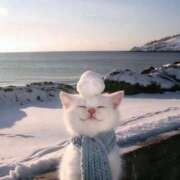 ヒメ日記 2025/12/27 03:36 投稿 ゆき 奴隷コレクション