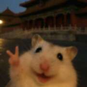 ヒメ日記 2026/01/04 05:25 投稿 ゆき 奴隷コレクション