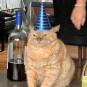 ヒメ日記 2026/01/09 21:54 投稿 ゆき 奴隷コレクション