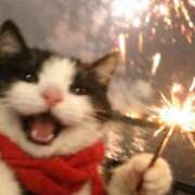 ヒメ日記 2026/01/18 18:29 投稿 ゆき 奴隷コレクション