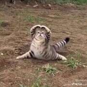 ヒメ日記 2026/01/22 02:55 投稿 ゆき 奴隷コレクション