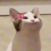 ヒメ日記 2026/01/31 22:24 投稿 ゆき 奴隷コレクション