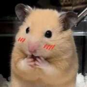 ヒメ日記 2026/02/03 21:20 投稿 ゆき 奴隷コレクション