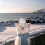 ヒメ日記 2026/02/05 15:02 投稿 ゆき 奴隷コレクション