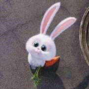 ヒメ日記 2026/02/05 23:08 投稿 ゆき 奴隷コレクション