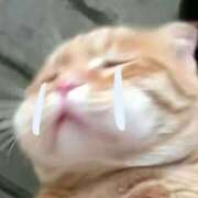 ヒメ日記 2026/02/08 17:06 投稿 ゆき 奴隷コレクション