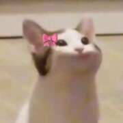 ヒメ日記 2026/02/12 02:28 投稿 ゆき 奴隷コレクション