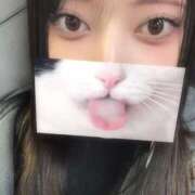 ヒメ日記 2026/02/23 11:25 投稿 ゆき 奴隷コレクション