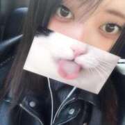 ゆき 😺🔆🎶 奴隷コレクション