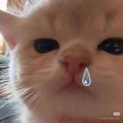 ヒメ日記 2026/03/06 16:52 投稿 ゆき 奴隷コレクション