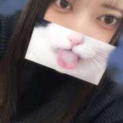 ヒメ日記 2026/03/14 16:15 投稿 ゆき 奴隷コレクション